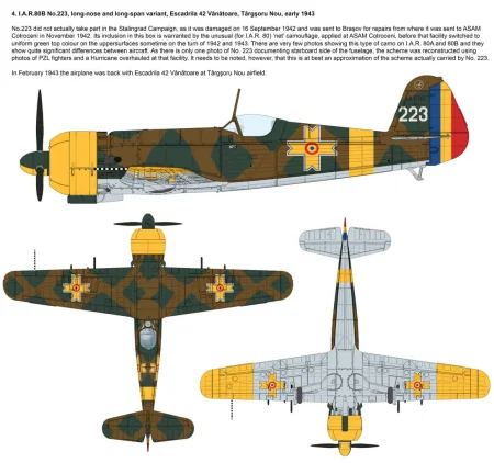 ibg-72567-IAR-80-B (4).jpg