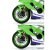 meng-kawasaki-ninja (11).jpg