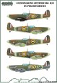 D48074-Spitfire-Mk-I-II-in-Polish-service-709-1.jpg