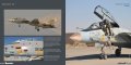 DH037-Tomcat-004.jpg