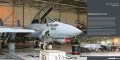 DH037-Tomcat-007.jpg