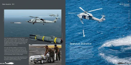 DH041-Seahawk-006.jpg