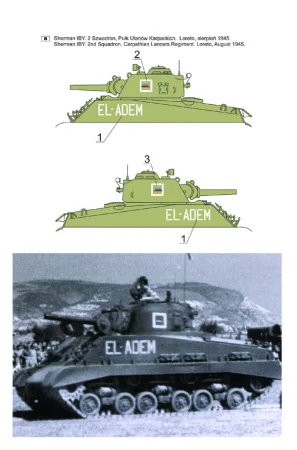 16d02b.jpg