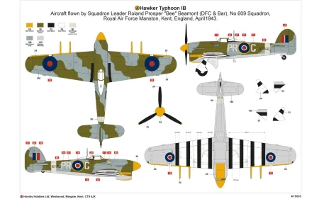 a19003-layout-a.jpg