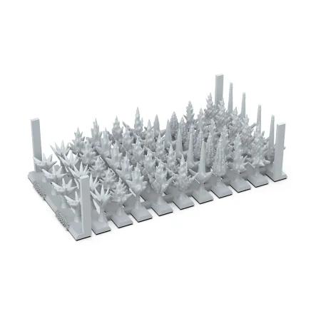 AKBIT015_03_.jpg