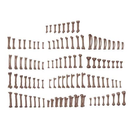 AKBIT013_02.jpg