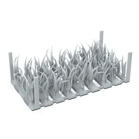 AKBIT0002_2.jpg