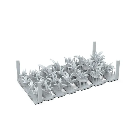 AKBIT0001_2.jpg