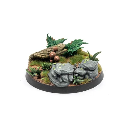 AK_Basing_Bits_Rocks_Mushrooms_Grass_Leaves_DeadTree.jpg