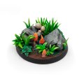 AK_Basing_Bits_Rocks_Mushrooms_Grass_Leaves.jpg