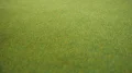 noch-00005-mata-z trawą-do makiet-wiosenna.jpg
