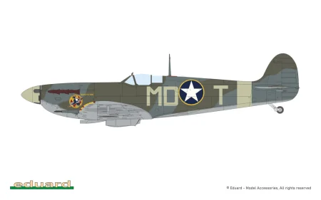 70206_COL_G.jpg