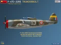 Miniart-48047-P-47D-22RE-Thunderbolt-French-Service (4).jpg