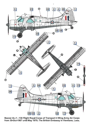 dora-wings-48062-beaver (5).jpg