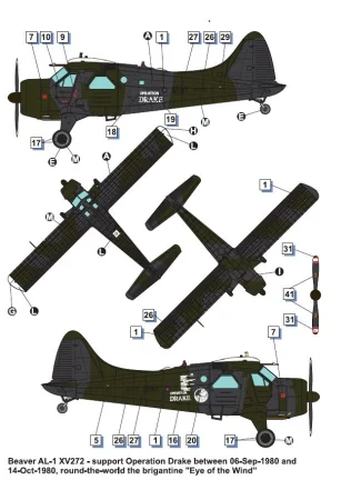 dora-wings-48062-beaver (6).jpg