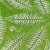 fern.jpg