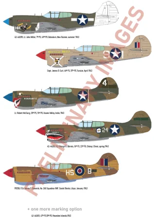 eduard-82243-P-40K-Warhawk-short-tail (3).jpg