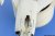 48890_07.jpg
