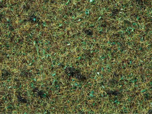 Przejdź do produktu NOCH 08157 - Scatter Grass Forest Floor - Posypka 120 g ( trawa 2,5 mm )