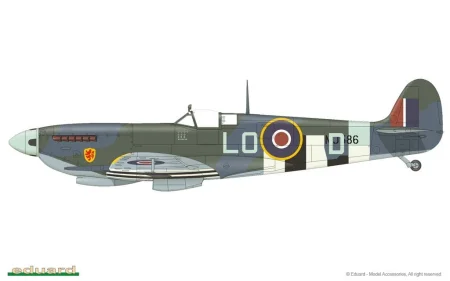 8281-c.jpg