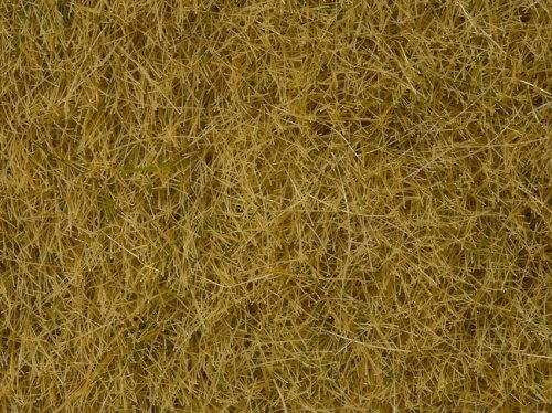 Przejdź do produktu NOCH 07091 - Wild Grass Beige - Posypka 100 g ( trawa 6 mm )