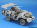 LF1317-1.jpg