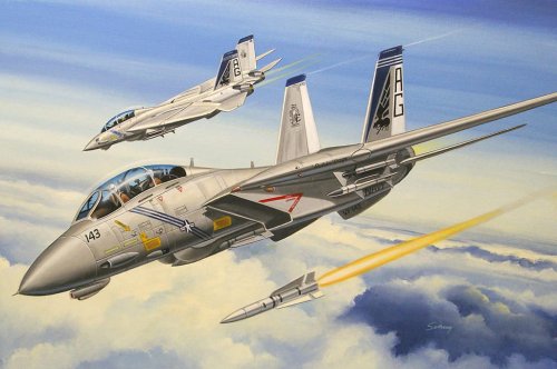 Przejdź do produktu HOBBY BOSS 80277 - 1:72 F-14B Tomcat