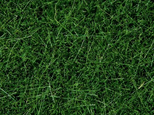 Przejdź do produktu NOCH 07094 - Wild Grass Dark Green - Posypka 100 g ( trawa 6 mm )