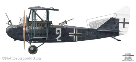 B_AEG G.IV 850~17 White 2, Bogohl 8b, June 1918.jpg