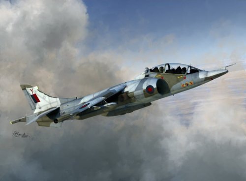 Przejdź do produktu SWORD 72098 - 1:72 Harrier T.Mk.2/2A/4/4N