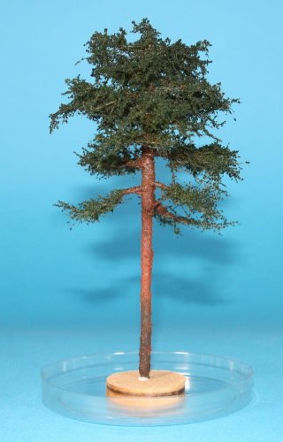 Przejdź do produktu FREON SOD2 - Sosna - wysokość 14-16 cm