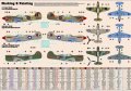 494193P-40 New Brytyjska.jpg