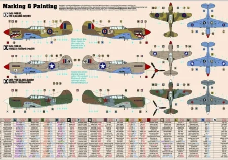 494193P-40 New Brytyjska.jpg