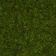 Przejdź do produktu NOCH 08312 - Scatter Grass Meadow - Posypka 20 g