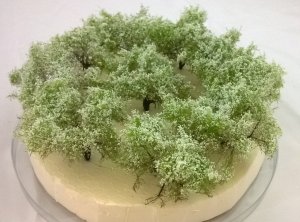 FREON KRW - Krzaki z białymi kwiatami 10 szt - wysokość około 4,5 cm