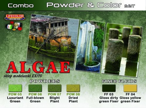 Przejdź do produktu LIFECOLOR SPG 07 - Algae - Powder & Color Set