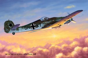 HOBBY BOSS 81717 - 1:48 Focke Wulf FW 190D-10