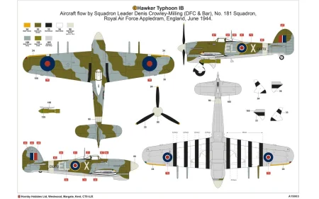 a19003-layout-c.jpg