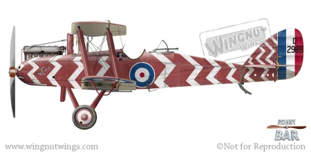 DH.9 D2989 Lobster, 49 TDS, February 1919.jpg