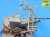 h0jv2vl3km1e1zuzevu9.jpg