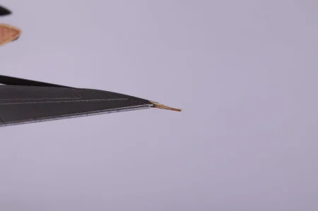 48922_07.jpg