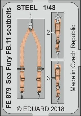 FE879.jpg