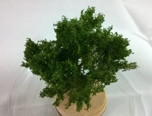 Przejdź do produktu FREON KR - Krzak - wysokość około 6 cm