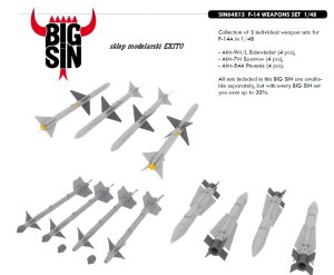 EDUARD SIN64814 - 1:48 F-14A Weapons Set