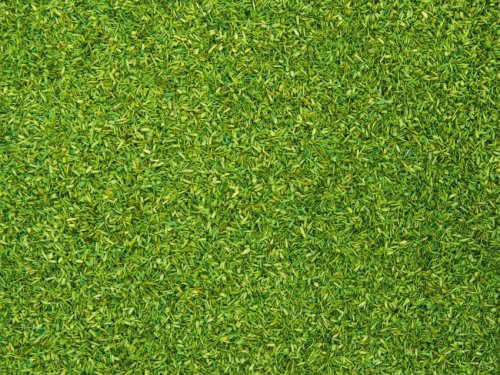 Przejdź do produktu NOCH 08371 - Scatter Material Light Green - Posypka 200 g