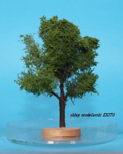 Przejdź do produktu FREON DAB3 - Dąb - wysokość 8-12cm
