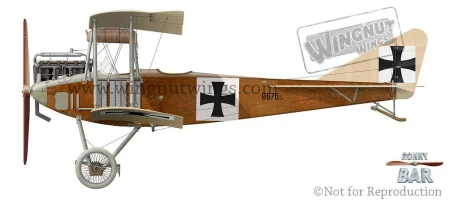 Albatros B.II 676~15, 1916.jpg