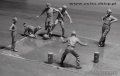 35149_3.jpg