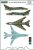 D72081-Su-22-in-Polish-service-part-II-698-7.jpg