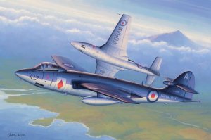 HOBBY BOSS 87251 - 1:72 Seahawk FGA.6